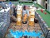 dscf0049.jpg