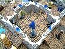 dscf0054.jpg